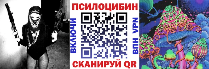 Купить закладки  Кузнецк  Псилоцибиновые грибы Magic Shrooms 